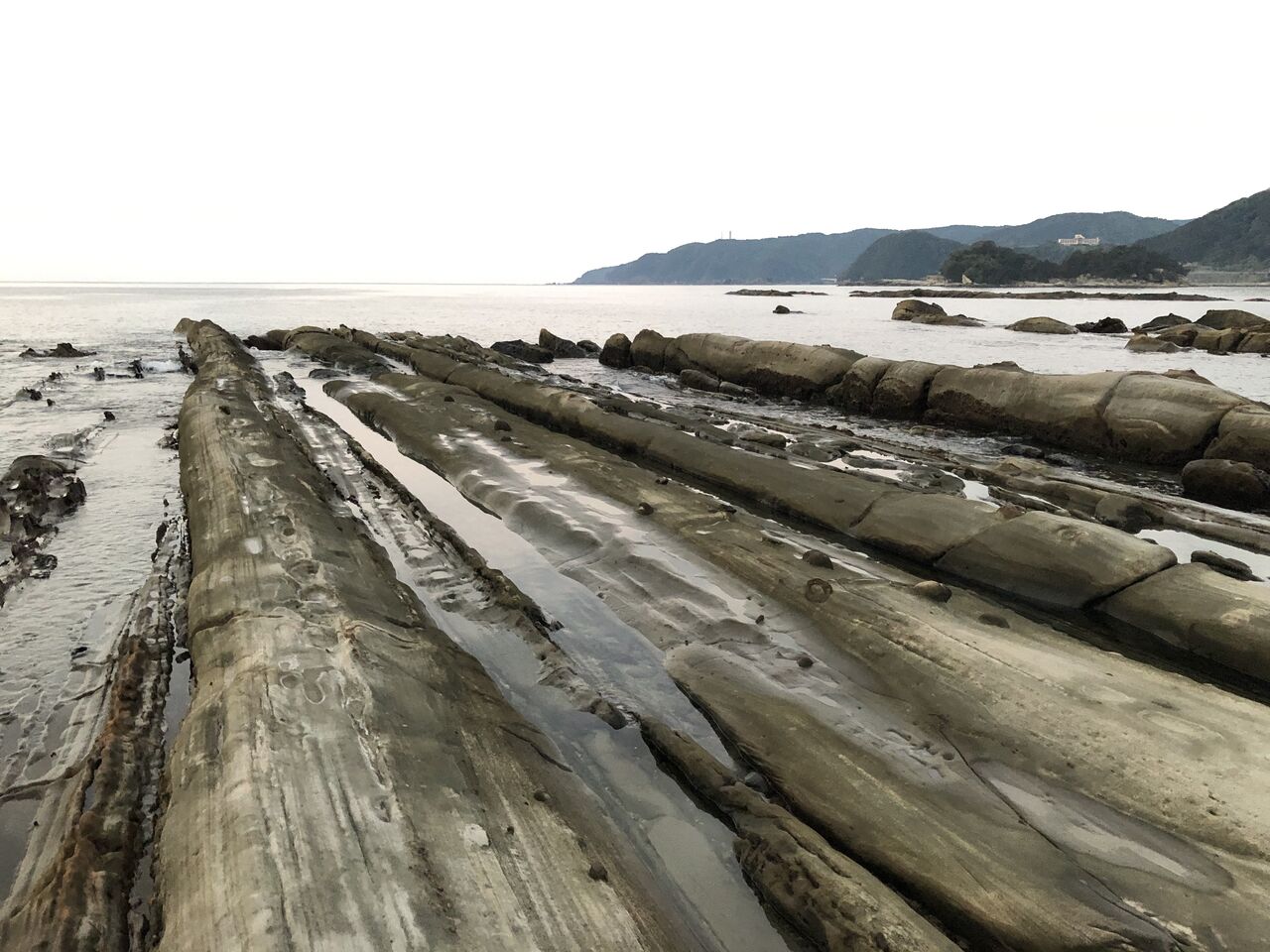 四国一周サイクリング6日目 竜串 宇和島 津島 四国一周サイクリングのススメ