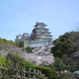 2010040310350000