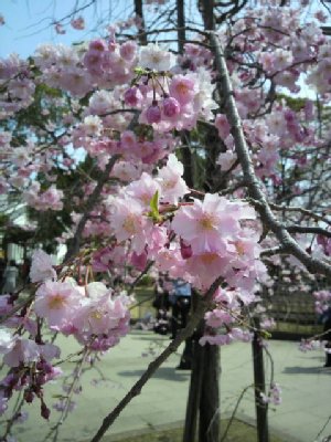 2010040310300000