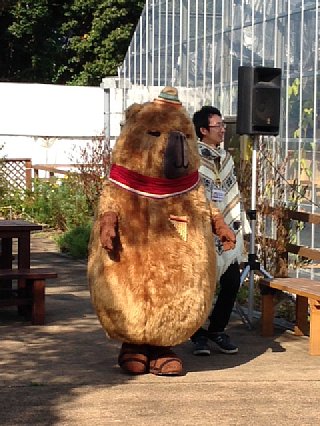 カピタン