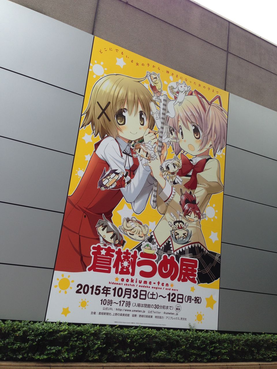 蒼樹うめ展の感想～！(ひだまりスケッチver.) : 「タイトル募集中」
