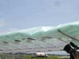 060716-11