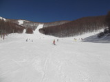 DSCF9403