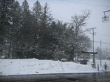 DSCN6572
