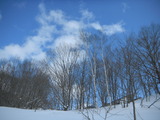 DSCN6583