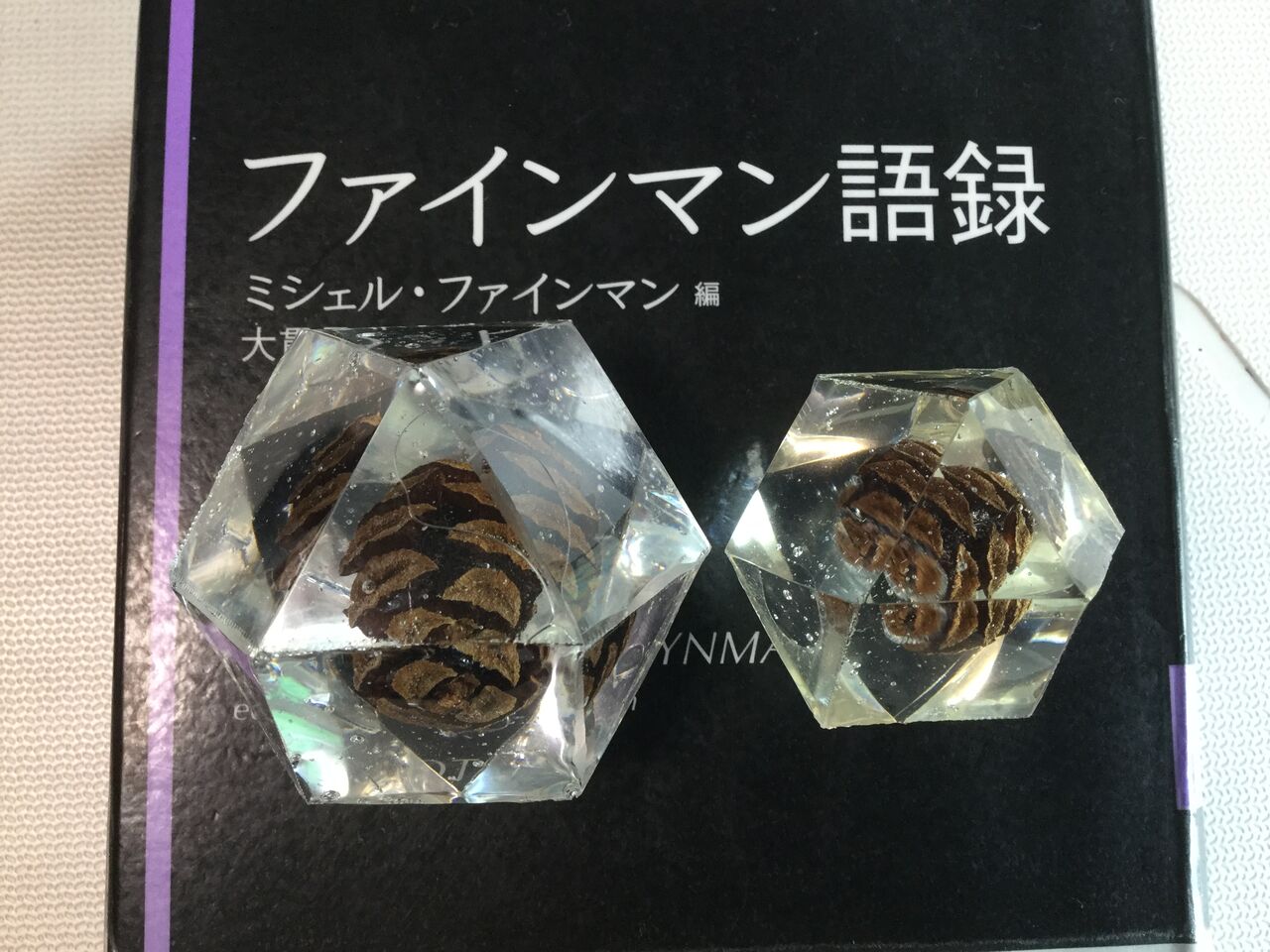 発想力教育研究所 素数誕生のメカニズム
	  雨の日は図書館に行こう11 ガンマ関数とオイラーの公式に見るオイラーの了見 数学の厳密性放棄の構図
	コメント