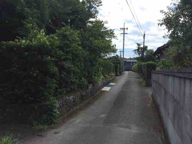 の の 曲がり角 垣根 垣根
