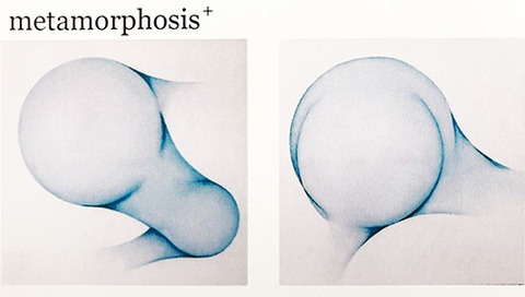 井上貴喜 metamorphosis