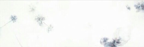 赤松亜美・詩画集〈あわいと暮らす〉出版記念イベント