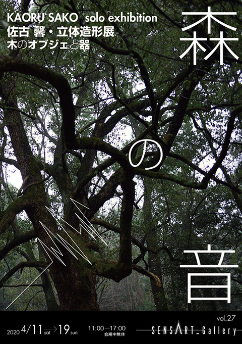 森の音
