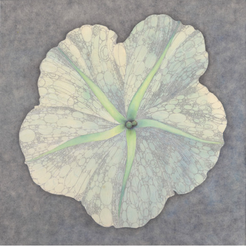 藤本麻野子 個展 「 春 」