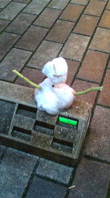 ☆SNOW!SNOW!SNOW! ☆