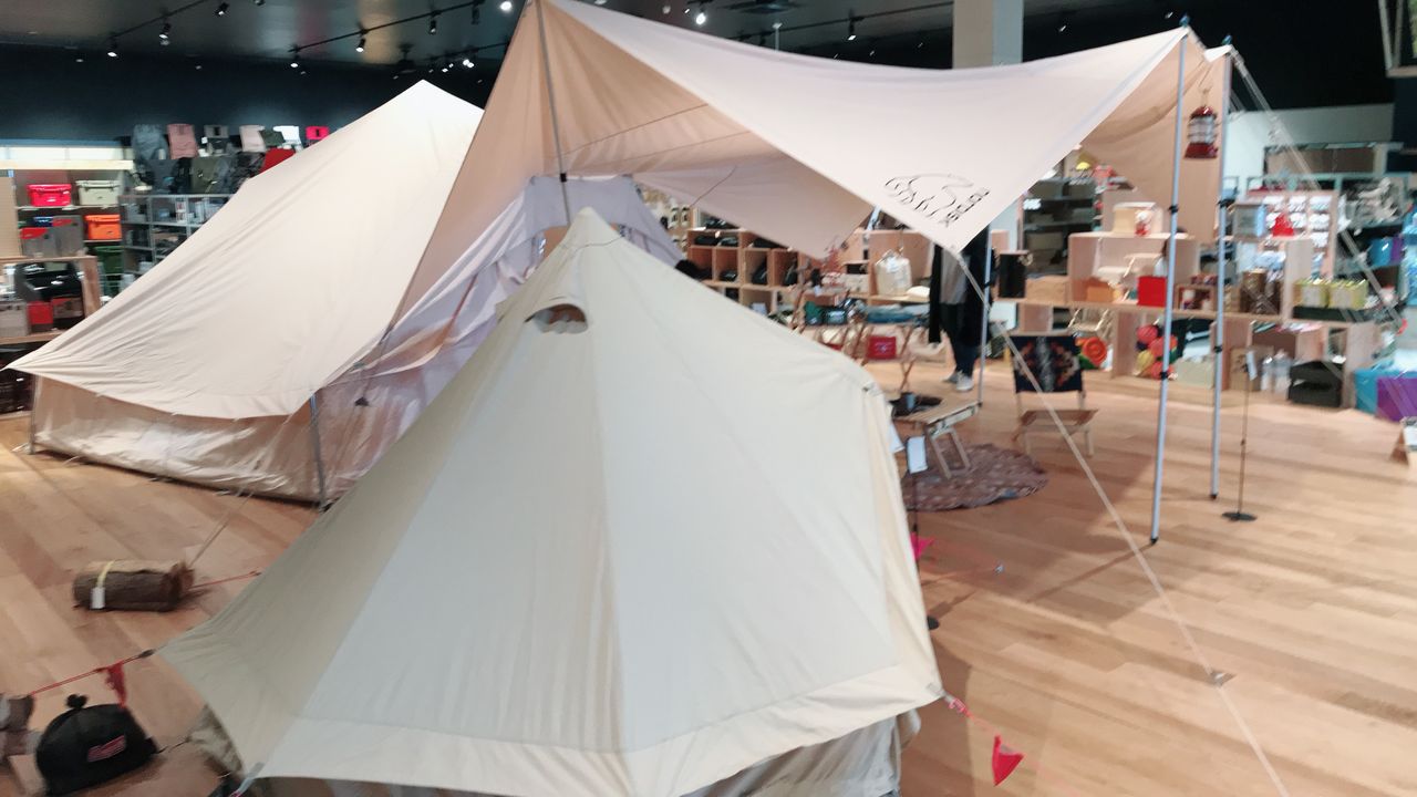 インターネットで見るべき 6 つの奇妙だが興味深いビデオ