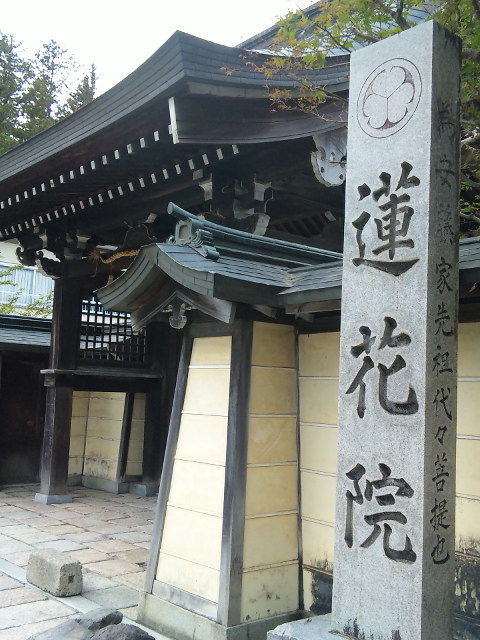 和歌山高野山 蓮花院 東照宮 金谷美帆 Diary Miho In Japan