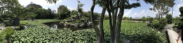 IMG_9087bsw