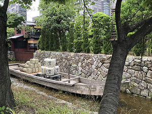 IMG_6271csw