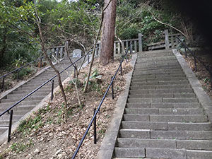 IMG_1605bsw
