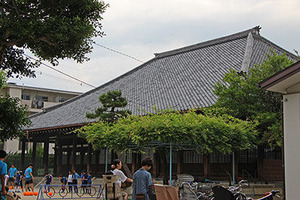 IMG_5361csw