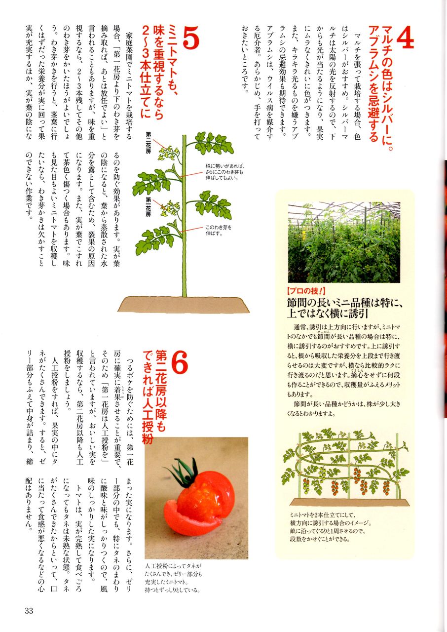 体験農園テキスト トマト編 体験農園テキスト