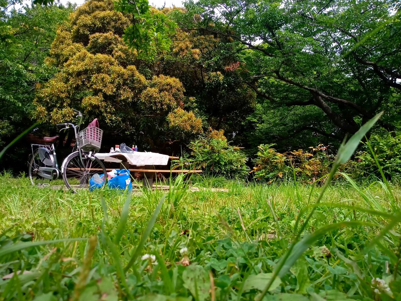 アルカンシエル 名前のない色を作る 公園で色水あそび アートあそびラボ