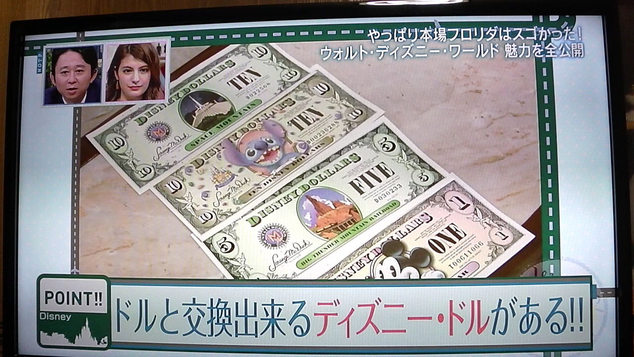 ウォルト ディズニーワールドを楽しむ菊地亜美とマギーその4 一日一句 詠もせず