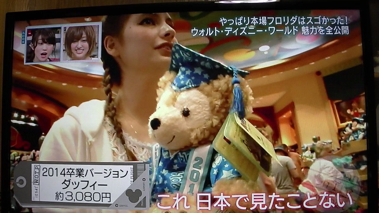 ウォルト ディズニーワールドを楽しむ菊地亜美とマギーその5 一日一句 詠もせず