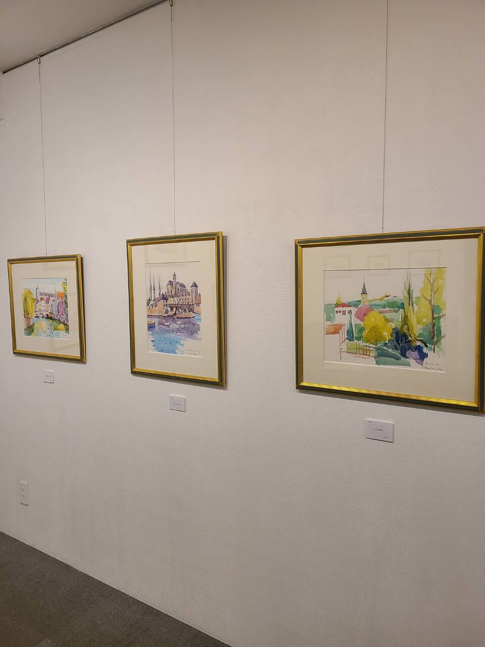 1F 杉村 勇 滞欧作品展 : アート カゲヤマ・画材・額縁・画廊