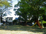IMGP0849