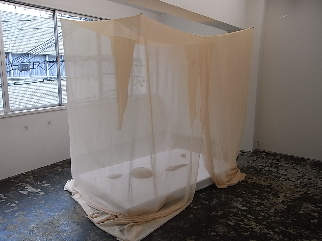 ヌーディストコンテストロリ