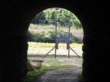 RIMG21064