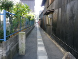 IMGP0842