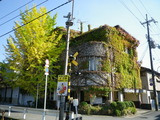 IMGP0859