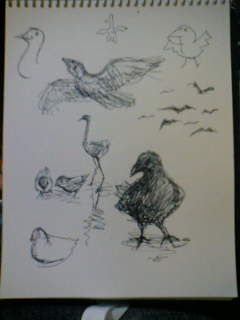 鳥描いてみた アートに恋して