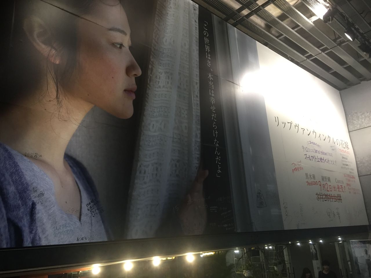 リップヴァンウィンクルの花嫁 シリアルエディションオールナイト 9月2日 金 23時30分から Artmania 3のblog