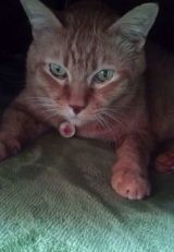 bb2f274e82b7f055bc386047a161bdf1