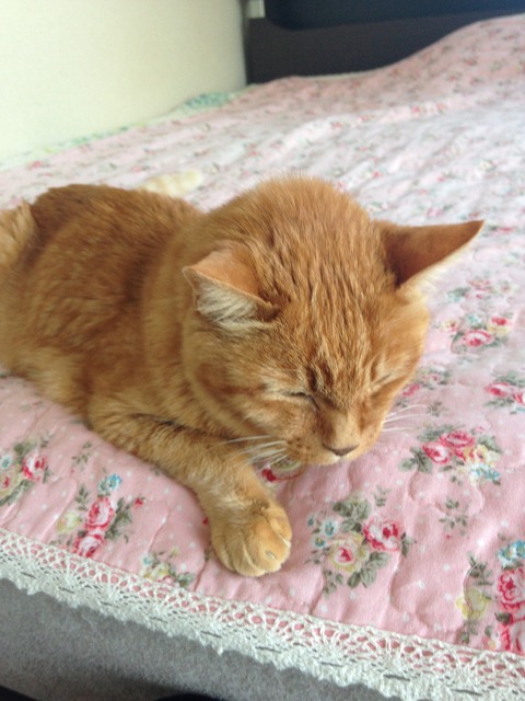 3702.jpgブログ用