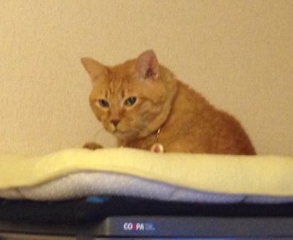 6369a8d8ff44bd68efdef43b244a3a99