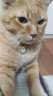70ab76756cd7a9eb5151e1eef00bb3d5