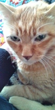 d745f4439fbb12bb589117ca4b3eaddb