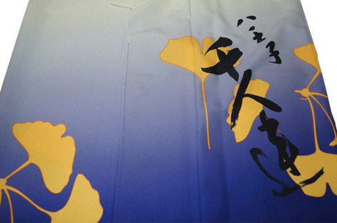 a8ba00766d6e23447ae430be26fbdd9a