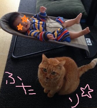 89348fba49a2a6cf8e43f74bf8be29aa