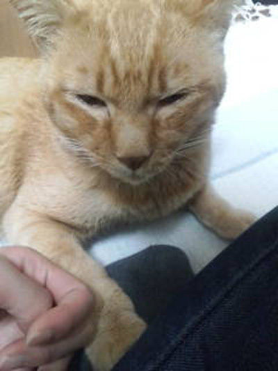 6a864262dc3656167b1fea849b305612