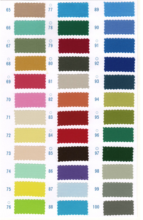 １００色（065-100）修正済we