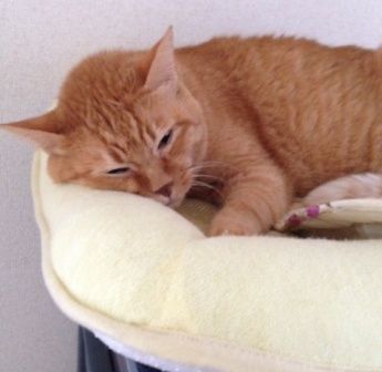 a92507a1abdda02b986949e66f0c9eb5