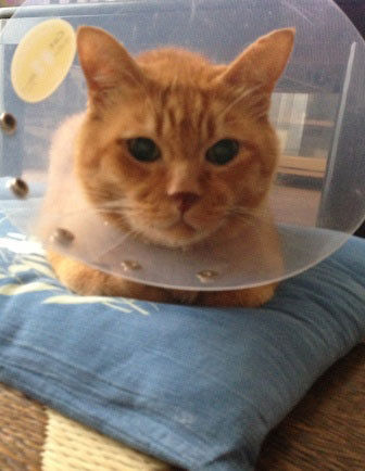 2f680f8b566f3bff2b64e4176d5fce0d