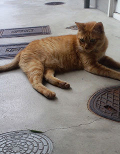 9e158a8f982450b1b598be373ffa0e30