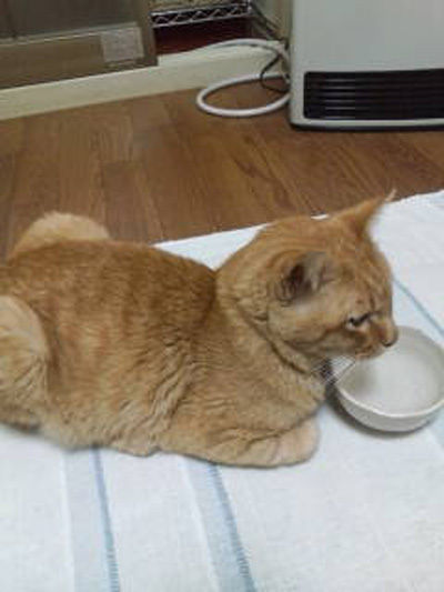 54a80e978c4dadee5405fd5721c05a88