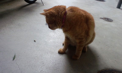 d7785e8a460da6bdba6552cdc3690d13