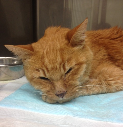 3793.jpgブログ用