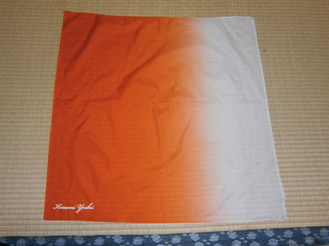 3aadc2f3e23f4a168d7cae8f2d3c6482